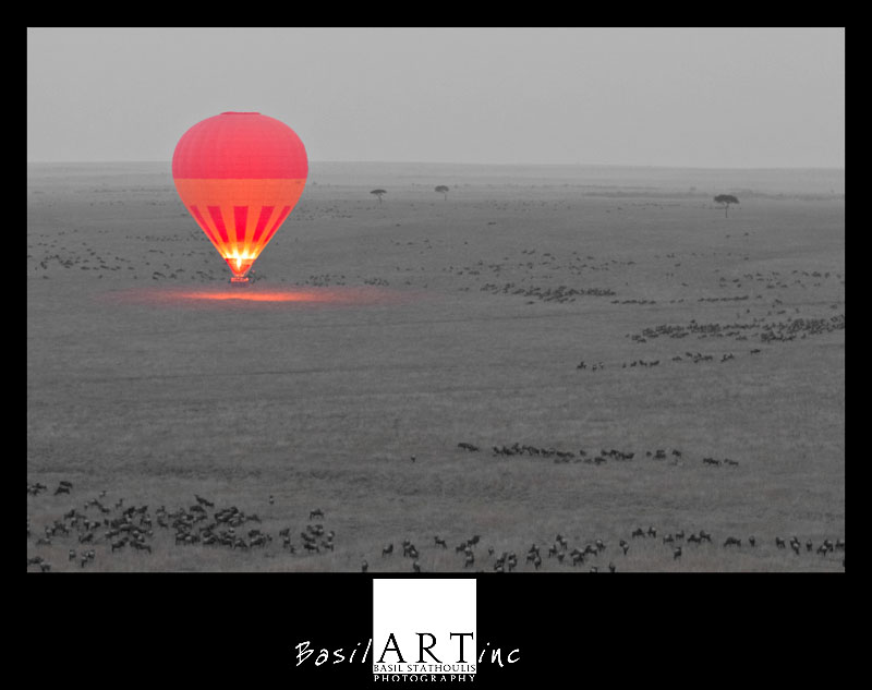 One balloon, thousands of wildebeest