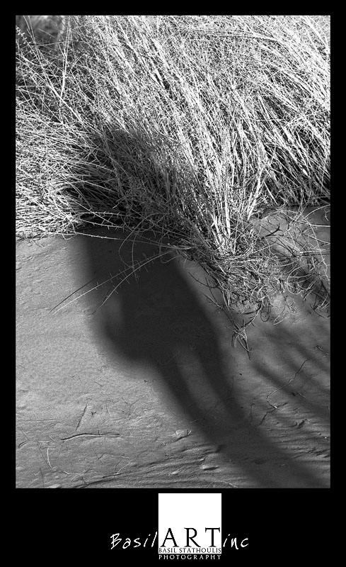 Shadow in the desert